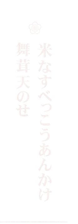 米なすべっこうあんかけ